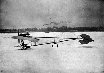 Demoiselle in the snow